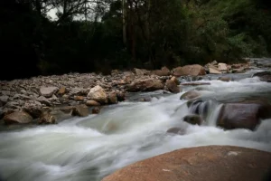 The Power of Letting Go in Sanatan Dharma