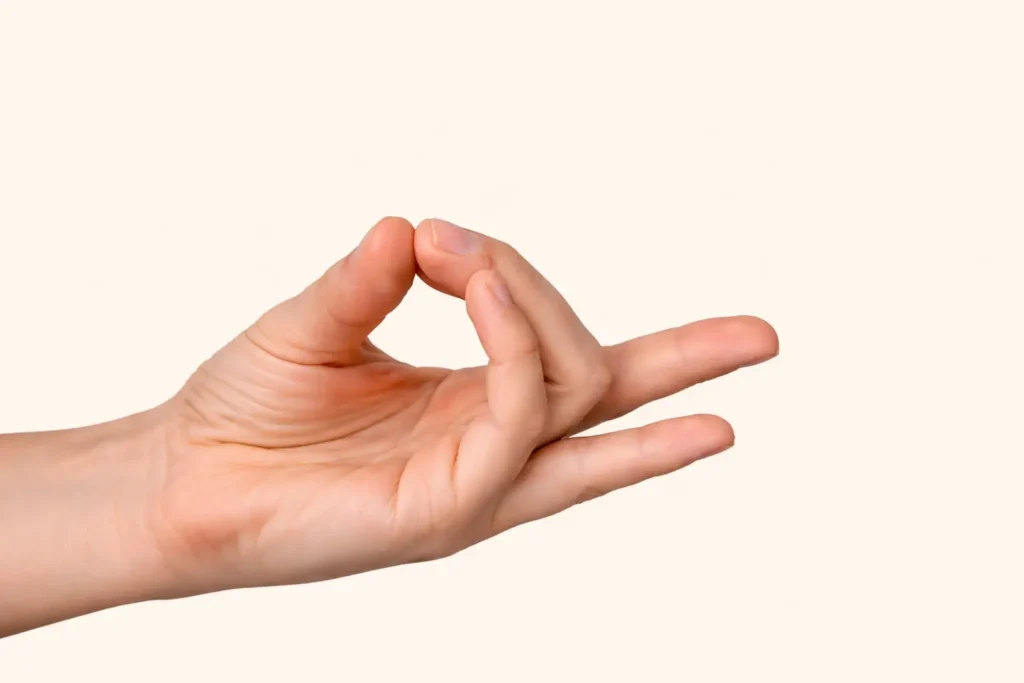Shuni-Mudra