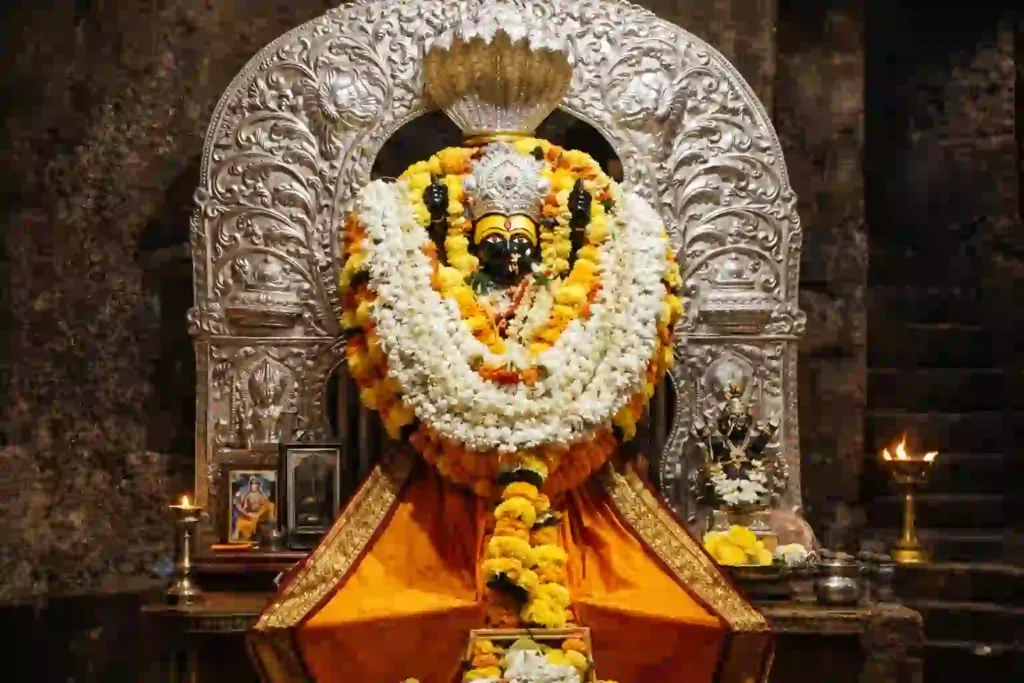 local-forms-of-maa-durga