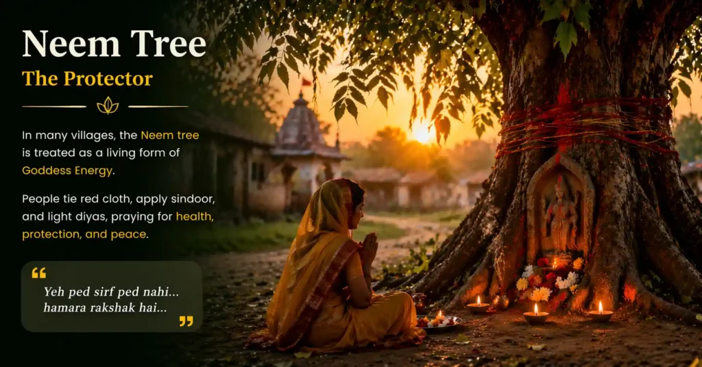 neem-tree-spiritual-meaning